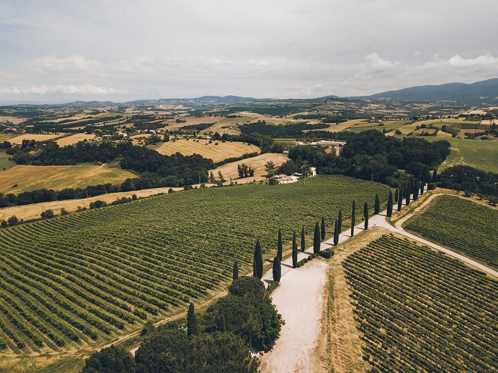 Andrew & Alena. Wedding. Italy