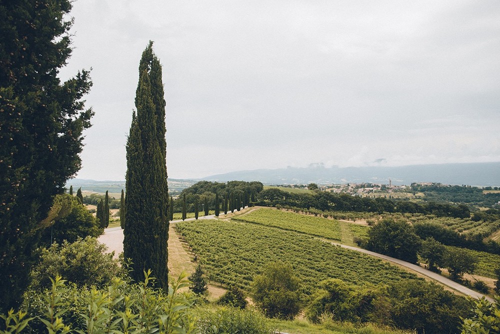 Andrew & Alena. Wedding. Italy