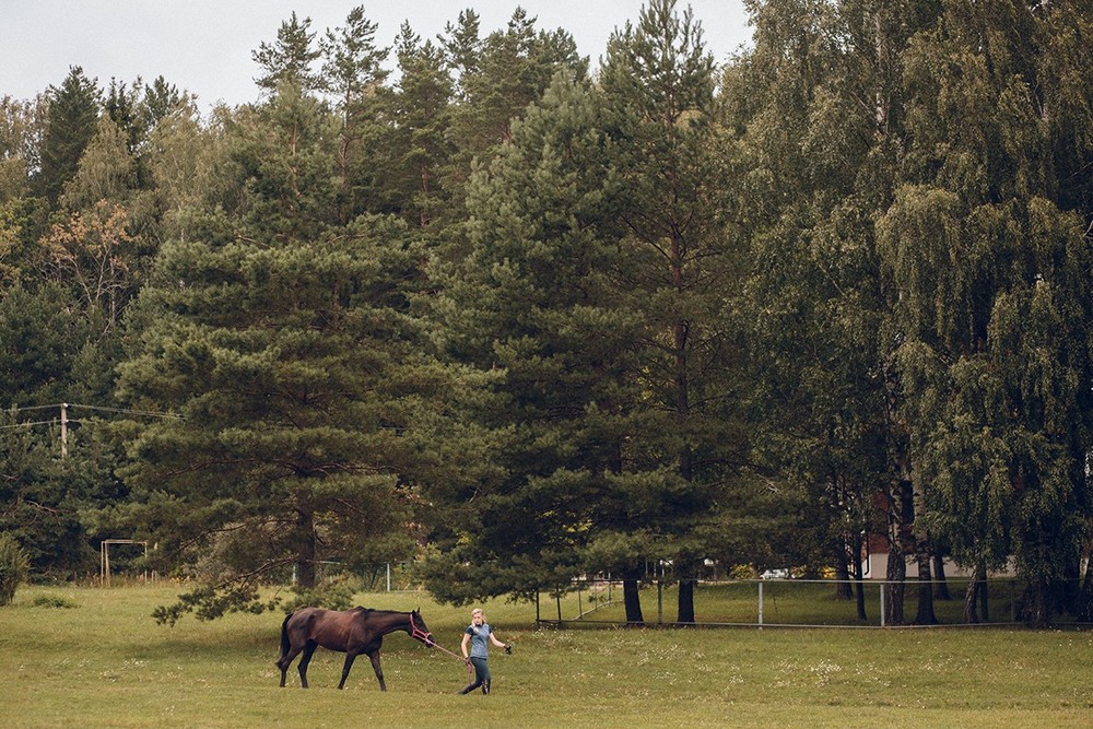 Andrey & Lera. Festival wedding