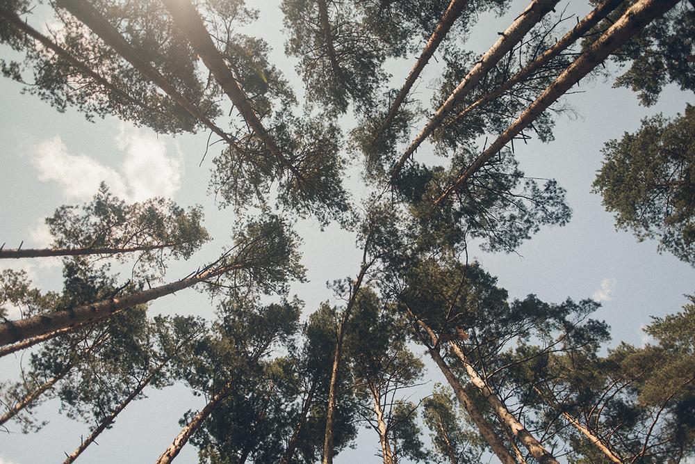 Саша и Настя