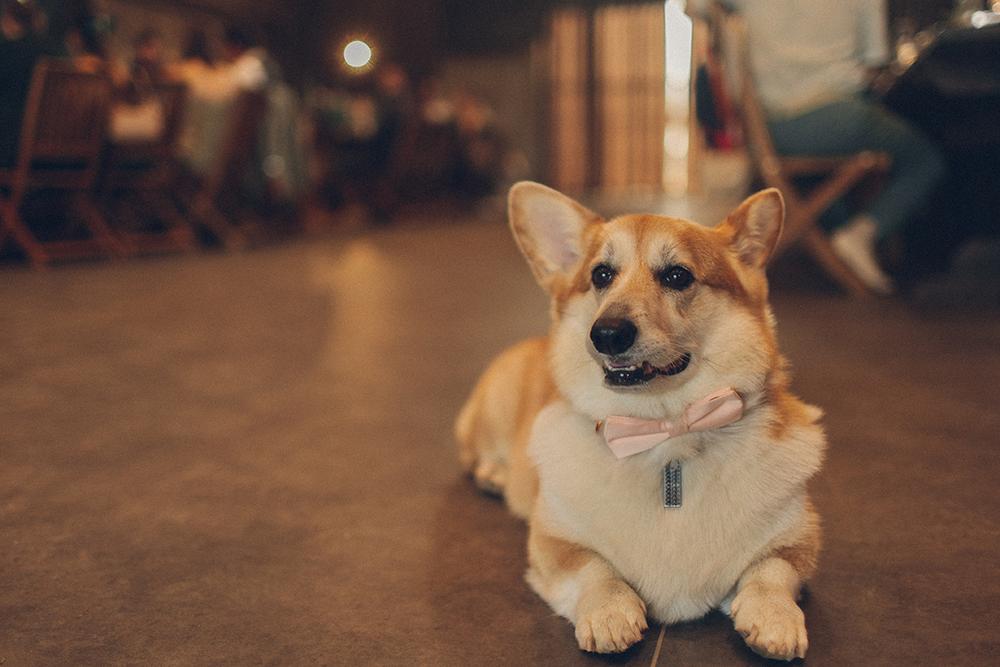 Саша и Настя