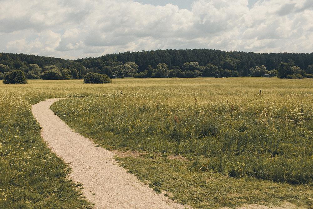 Саша и Настя