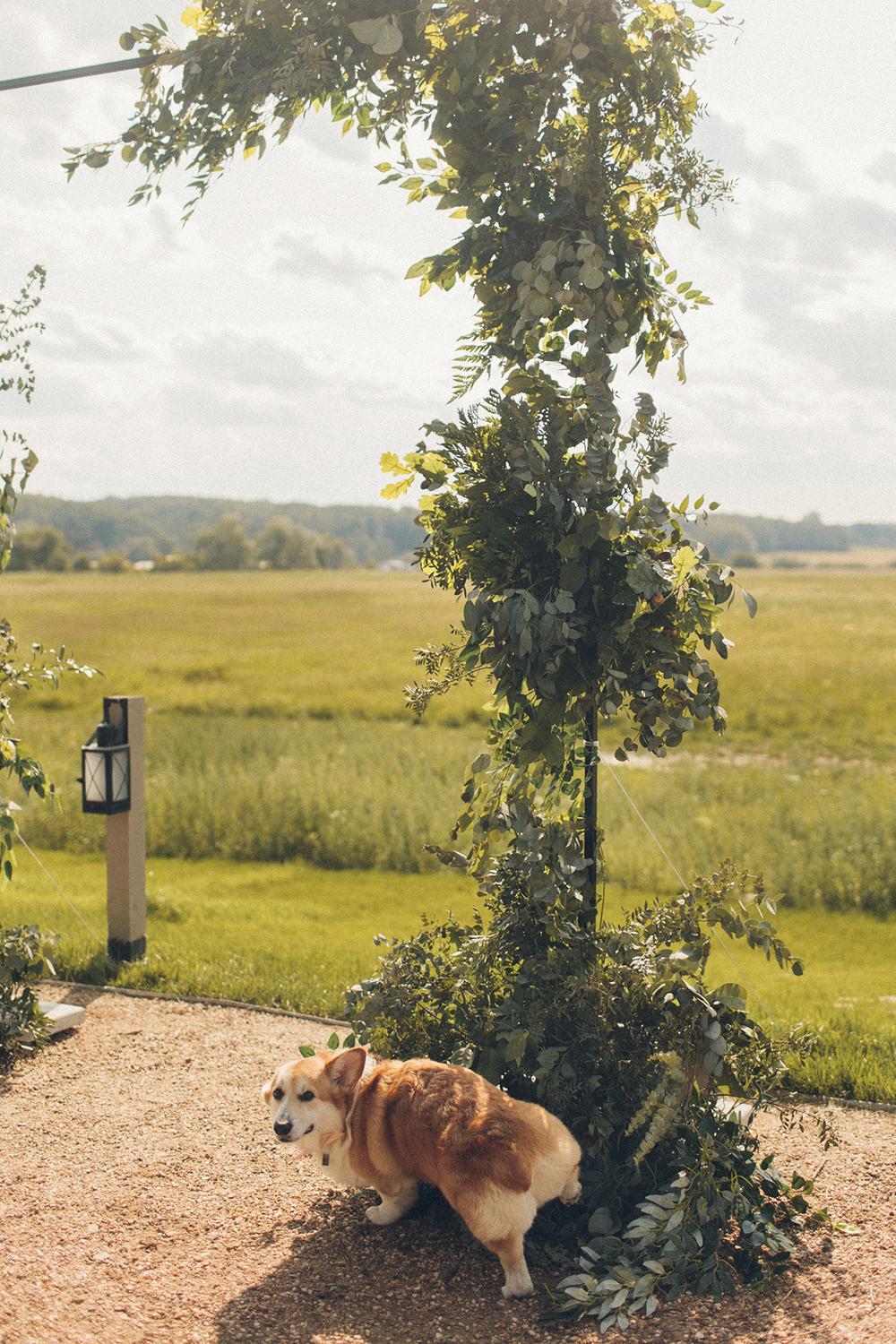 Саша и Настя