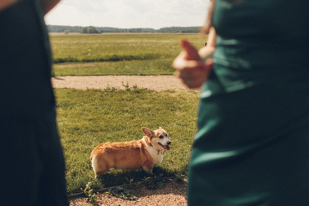 Саша и Настя