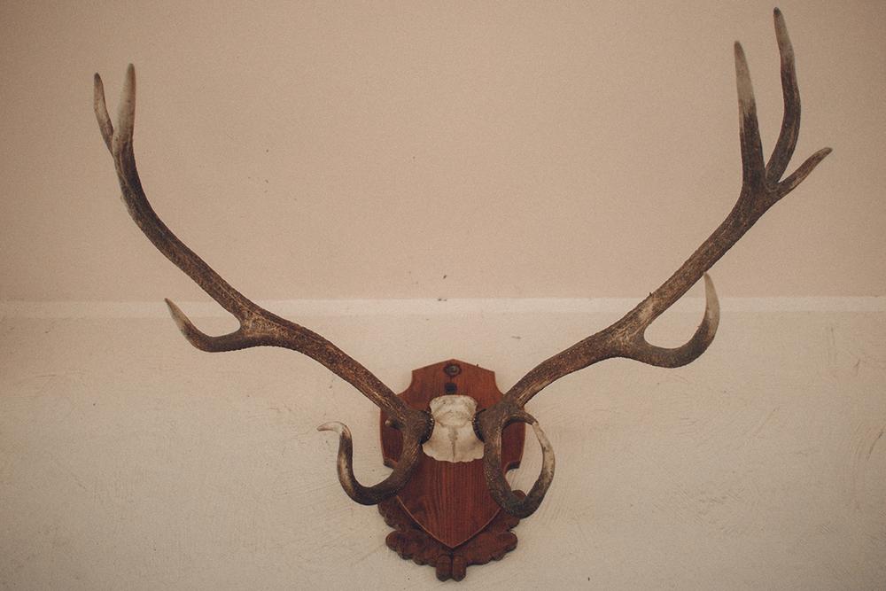 Никита и Оля