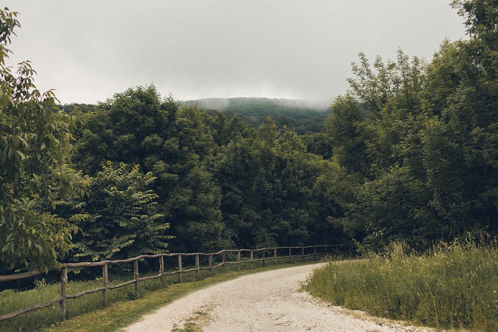 Никита и Оля