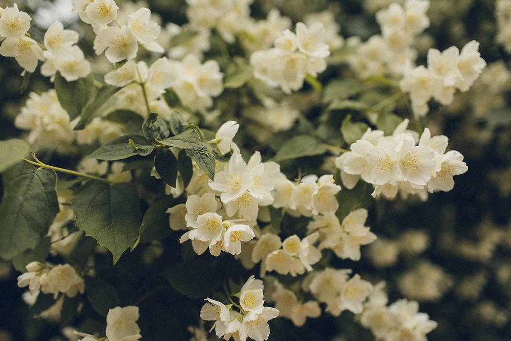 Никита и Оля