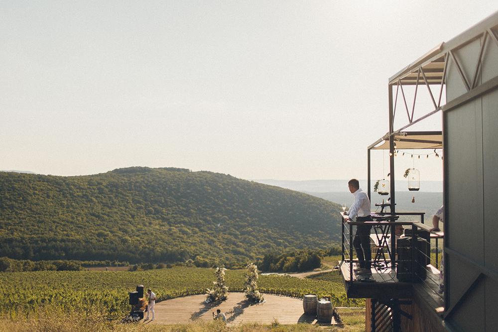 Владимир и Елена