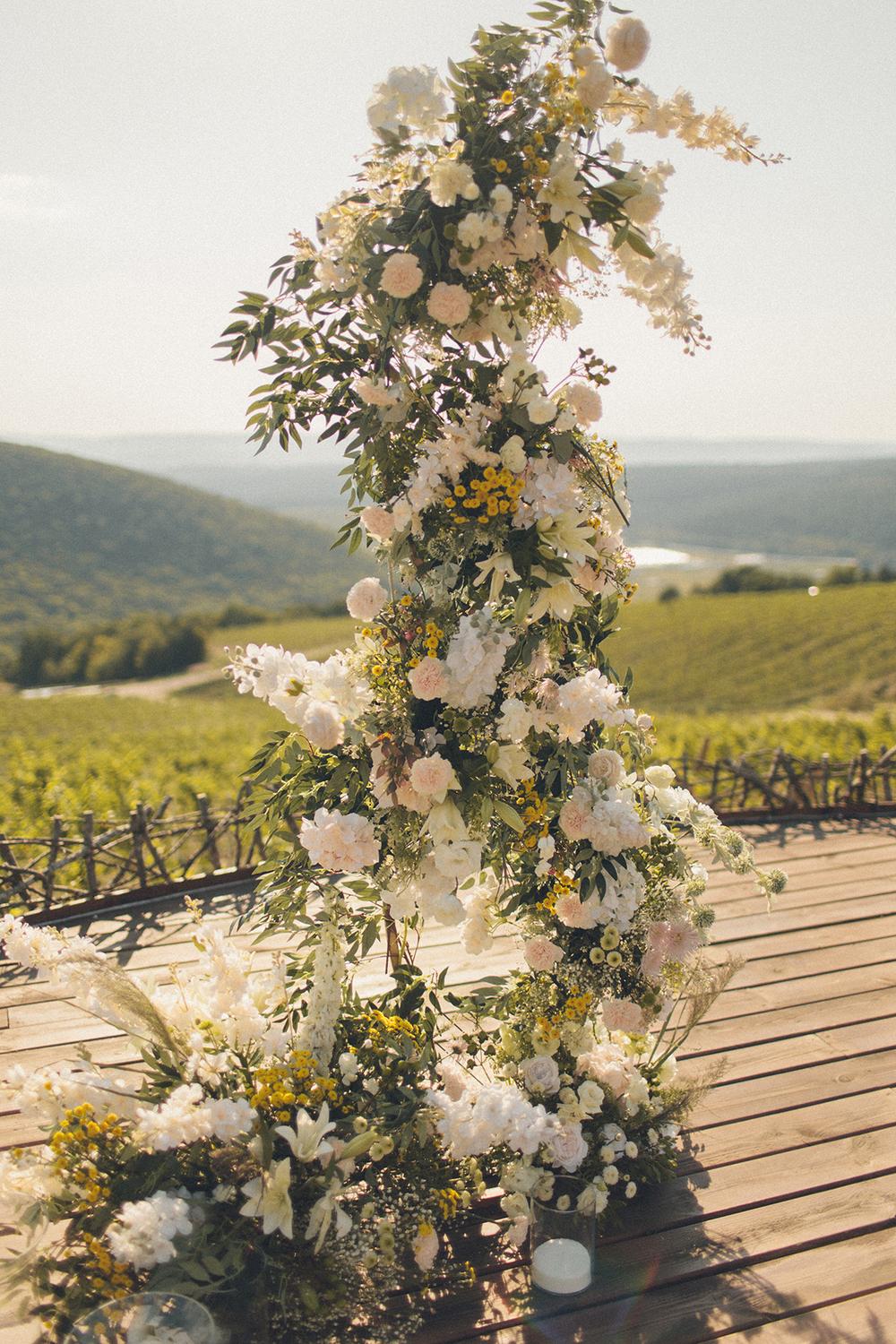 Владимир и Елена