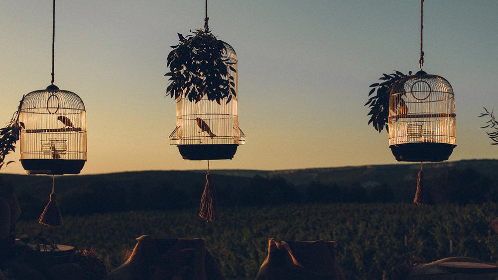 Владимир и Елена