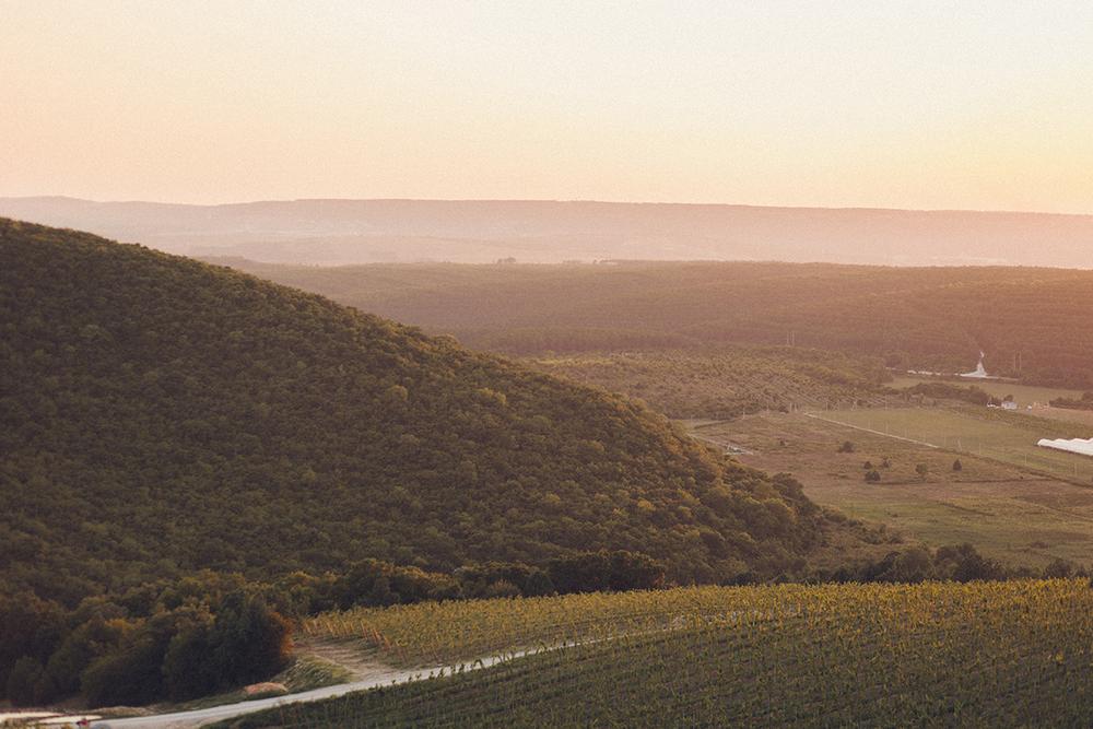 Владимир и Елена