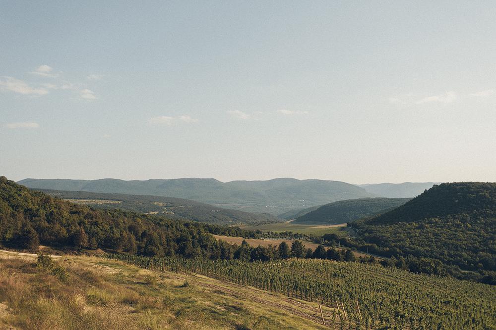 Владимир и Елена