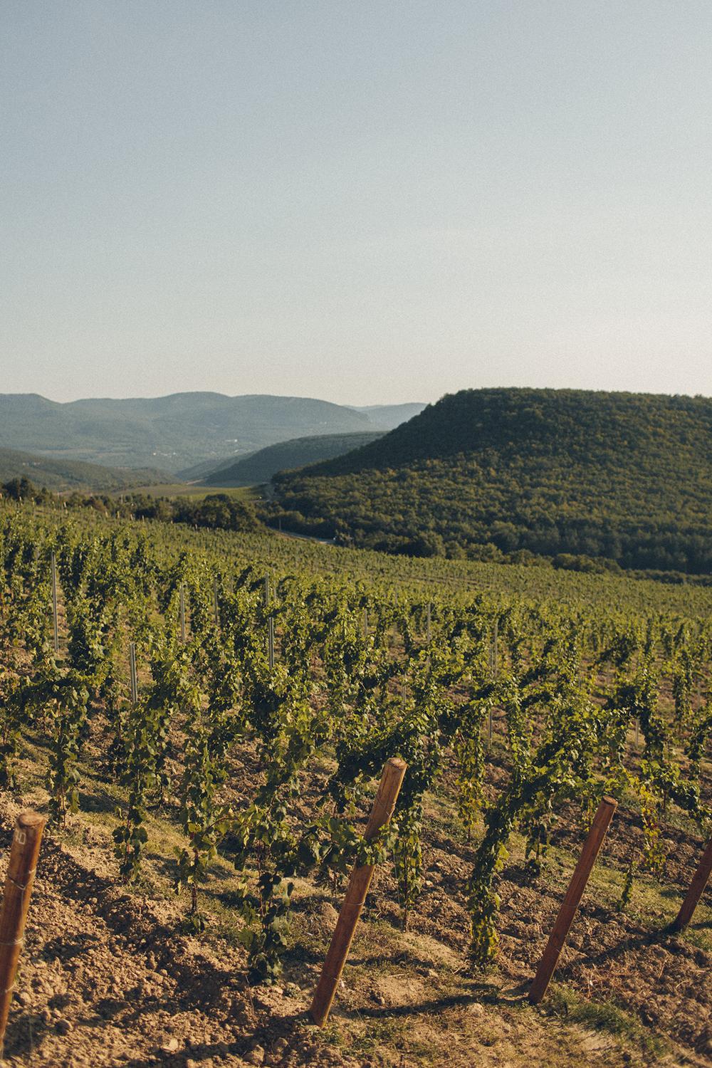 Владимир и Елена