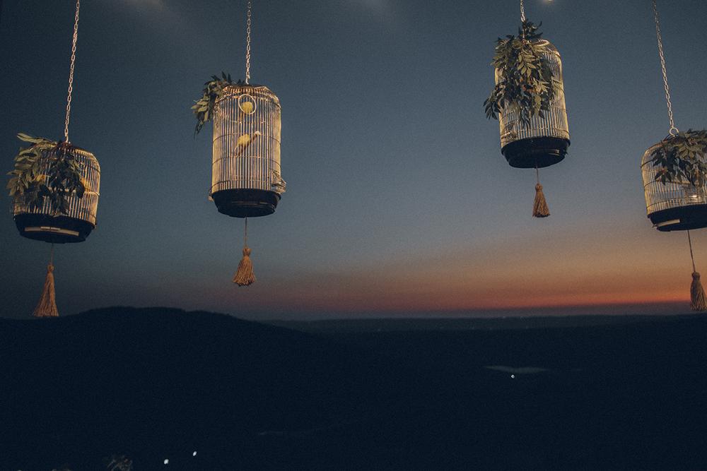 Владимир и Елена