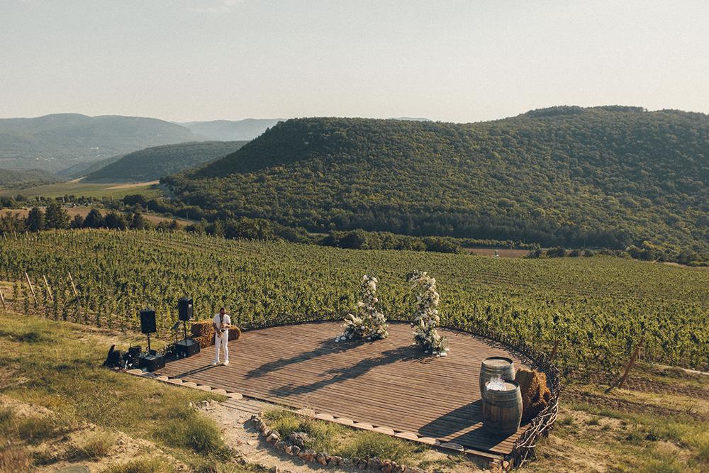 Владимир и Елена