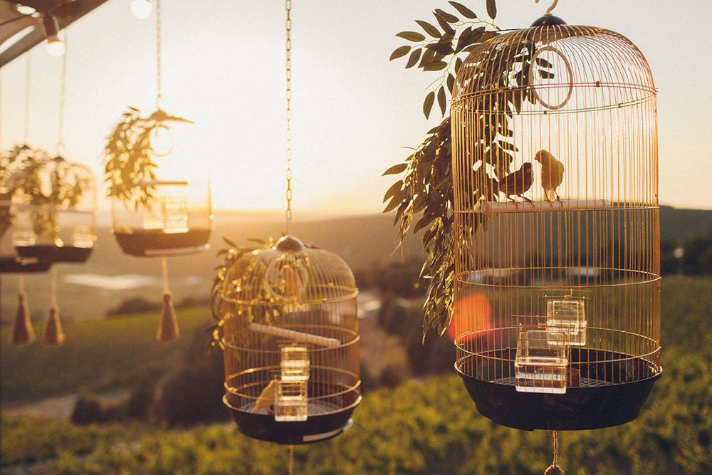 Владимир и Елена