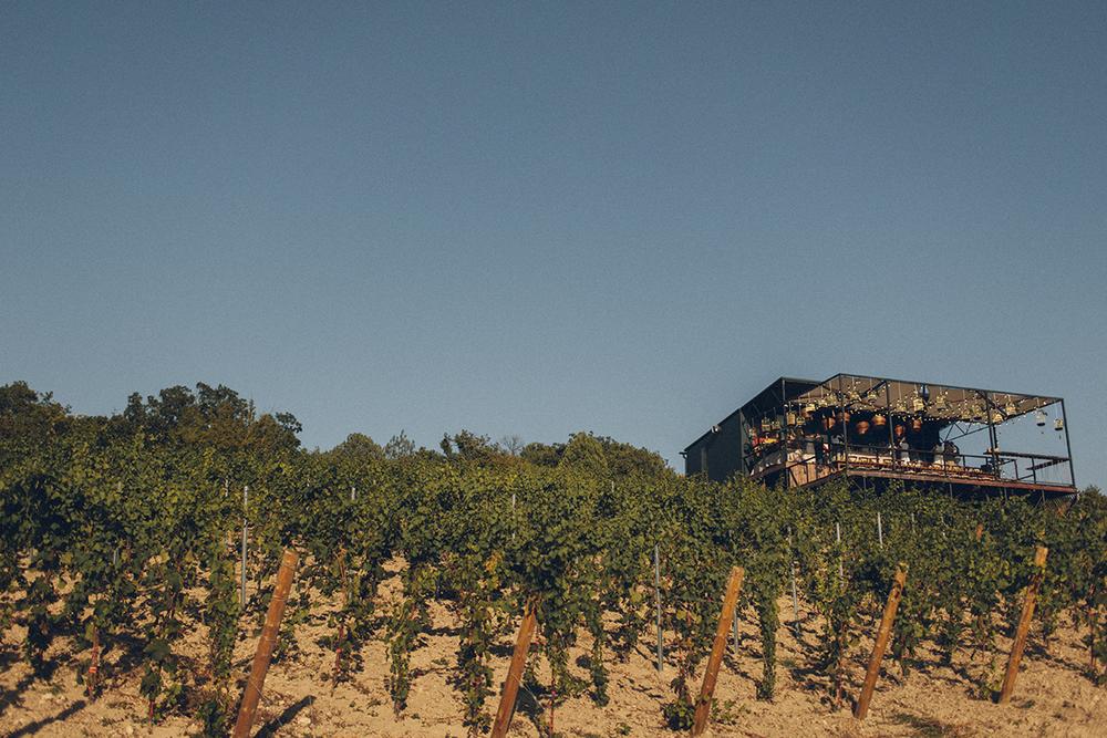 Владимир и Елена