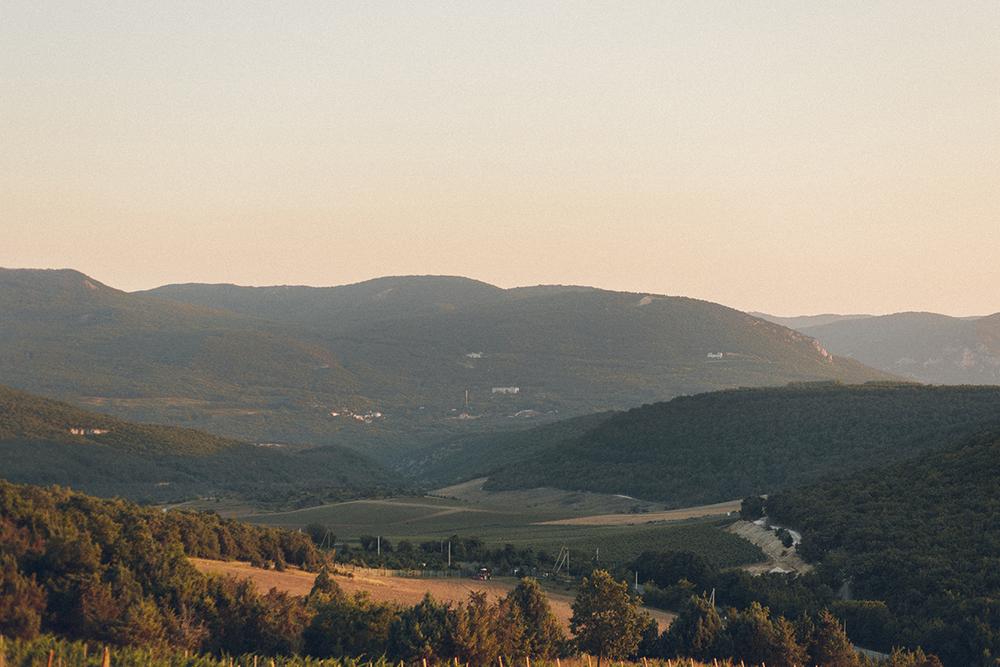 Владимир и Елена