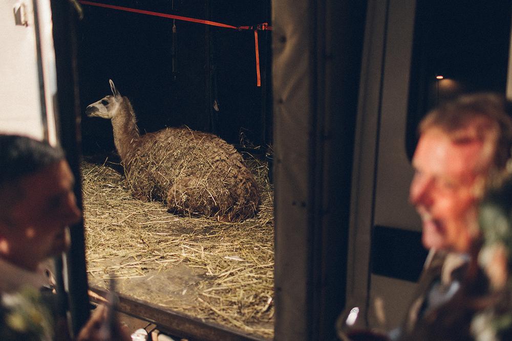 Владимир и Елена