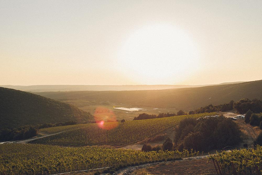 Владимир и Елена