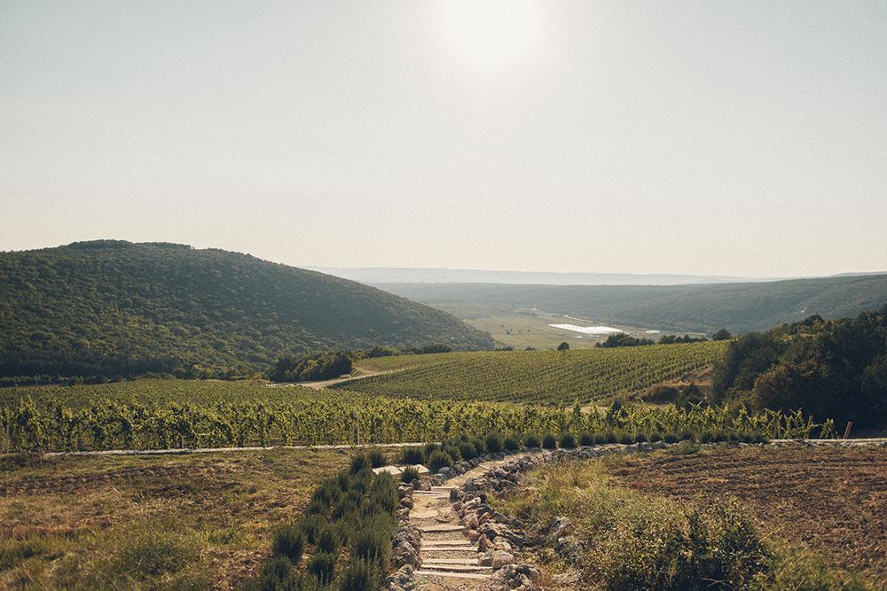 Владимир и Елена