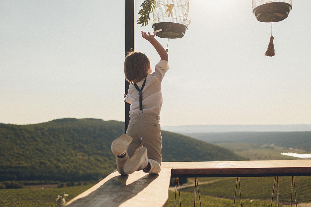 Владимир и Елена