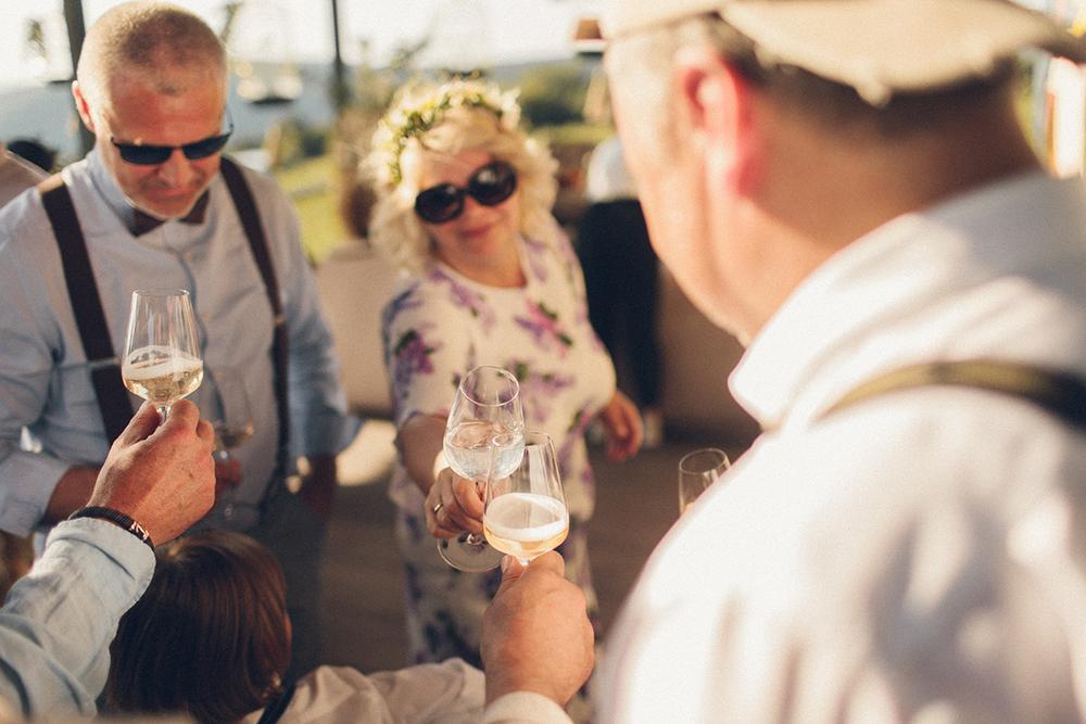 Владимир и Елена