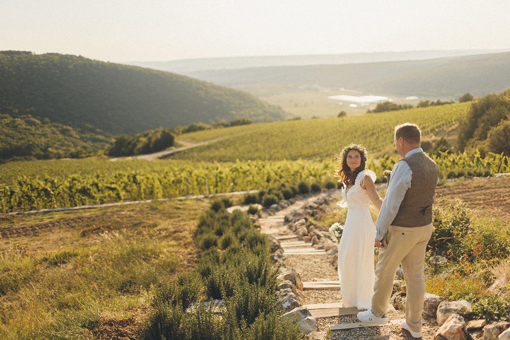 Владимир и Елена