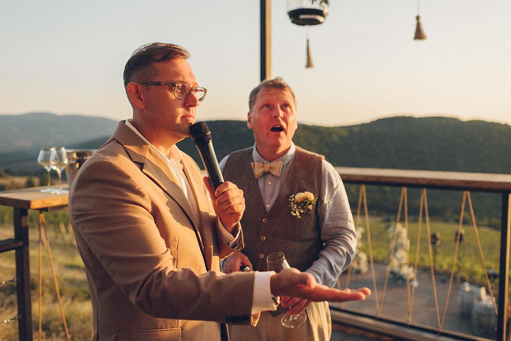 Владимир и Елена