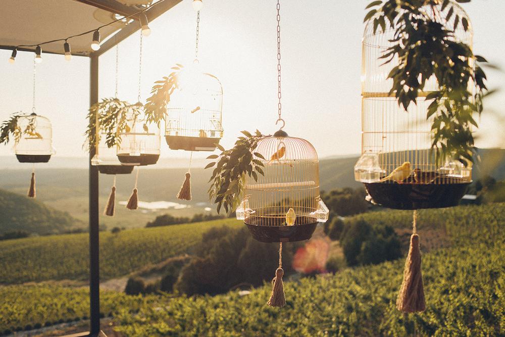 Владимир и Елена