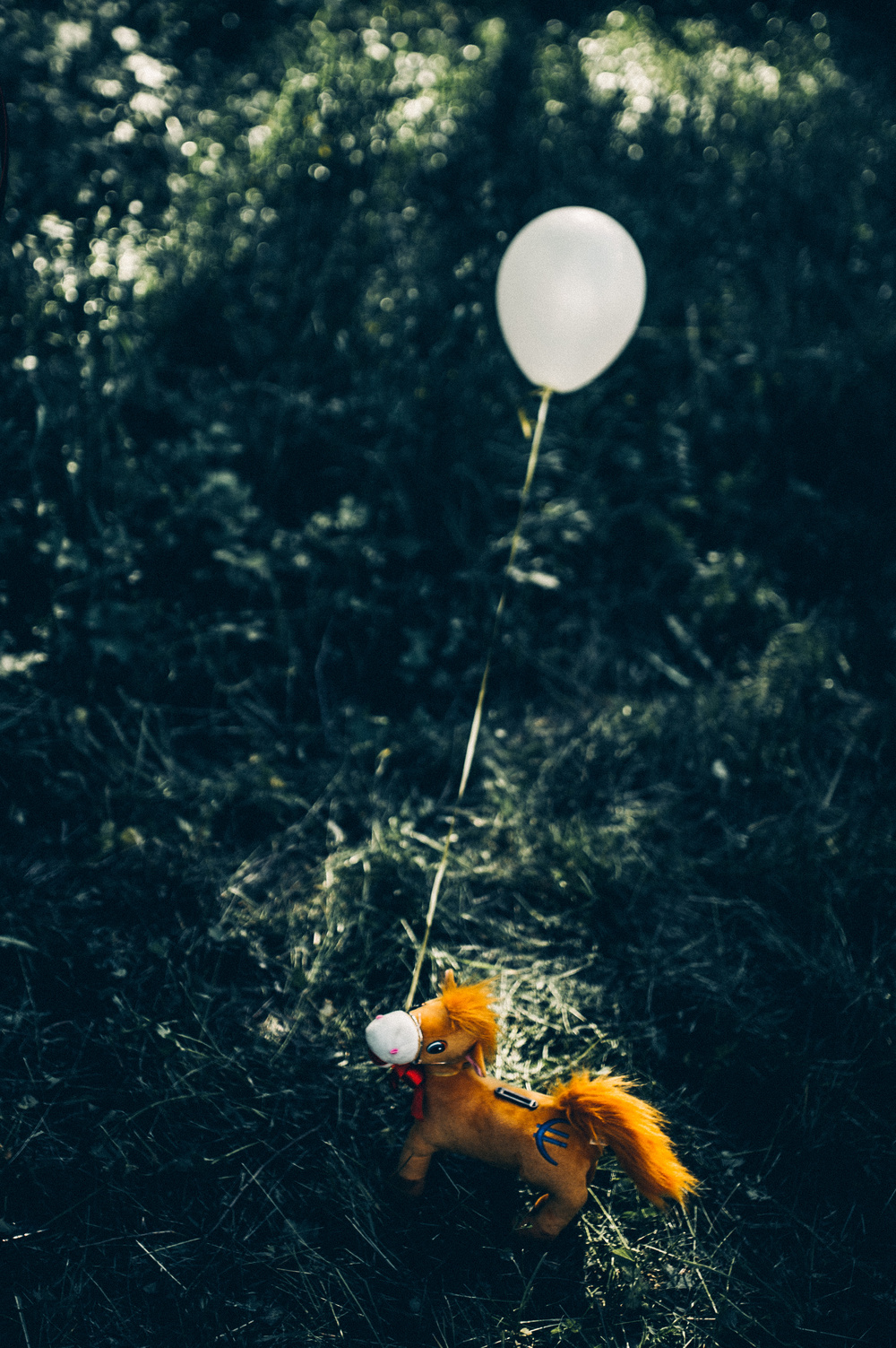 06.06.2015