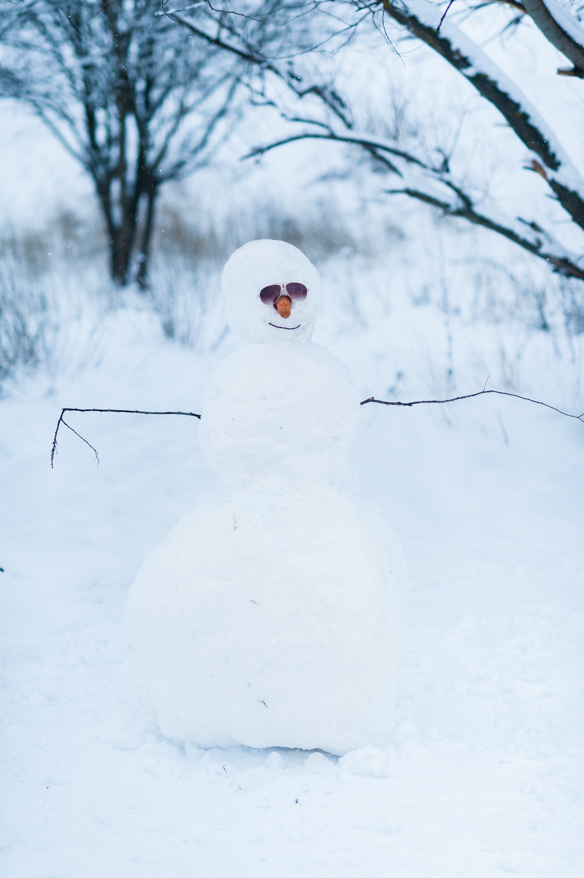 winter story