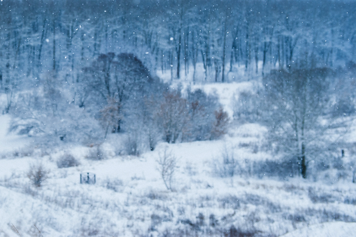 winter story