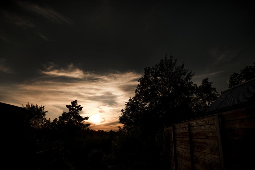 Свадебная фотосъемка и лав стори - Катя и Никита