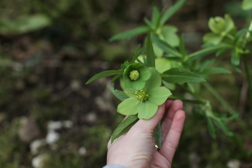 Природа Италии. Nature Italy
