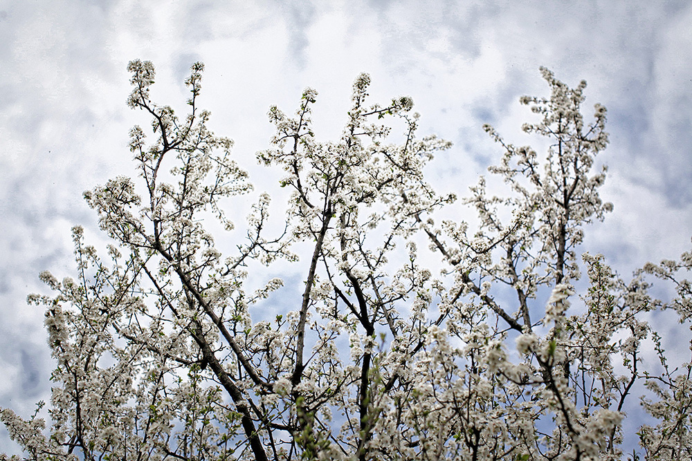 Природа Италии. Nature Italy