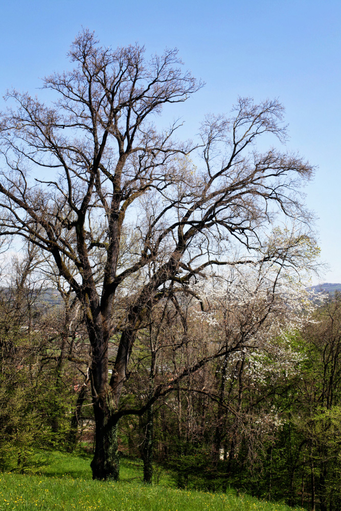 Природа Италии. Nature Italy