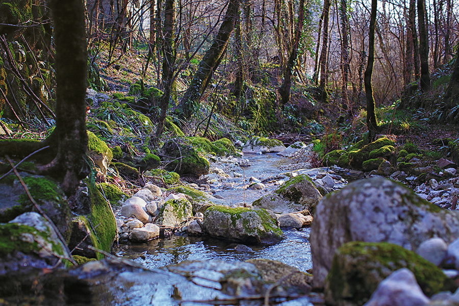 Природа Италии. Nature Italy