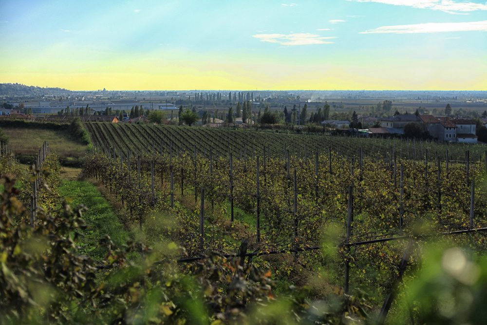 Природа Италии. Nature Italy