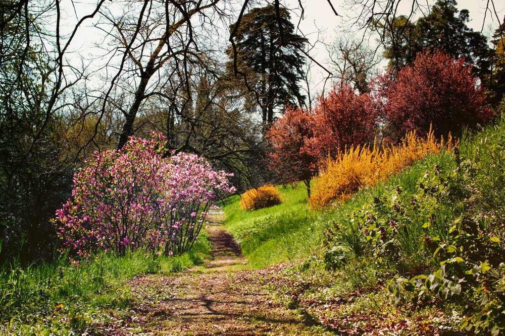 Природа Италии. Nature Italy