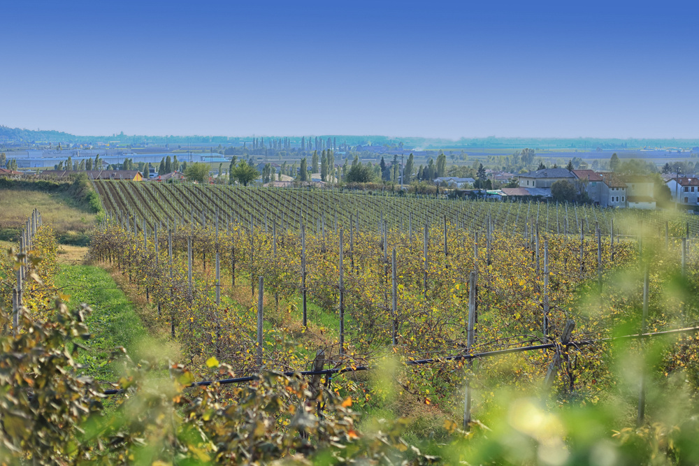 Природа Италии. Nature Italy