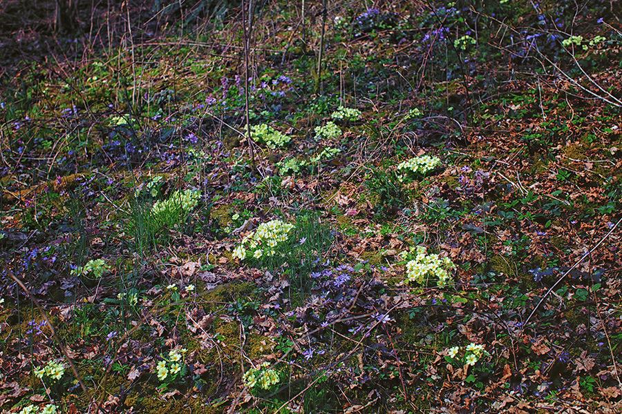 Природа Италии. Nature Italy