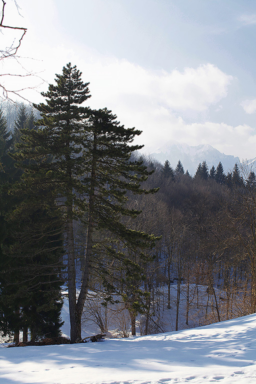 Природа Италии. Nature Italy