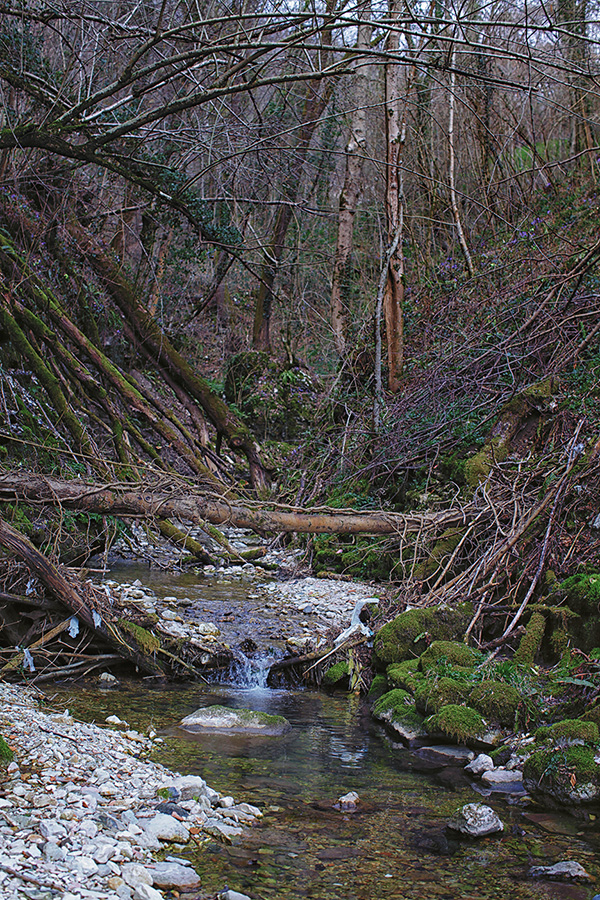 Природа Италии. Nature Italy