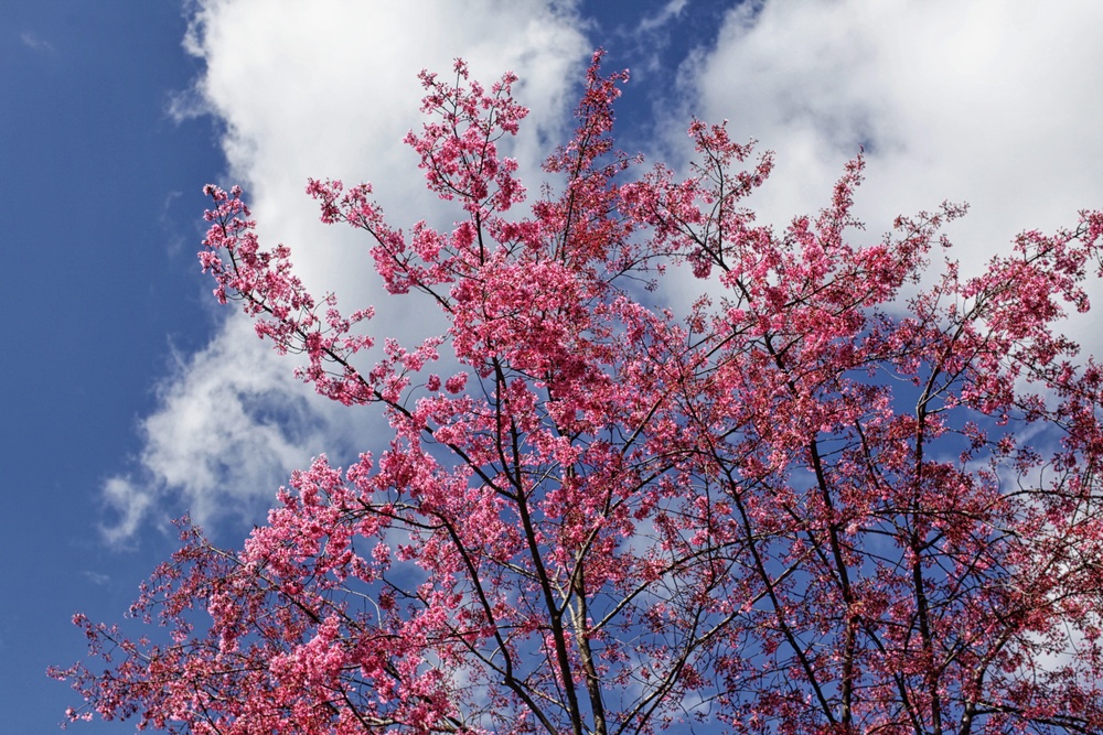 Природа Италии. Nature Italy