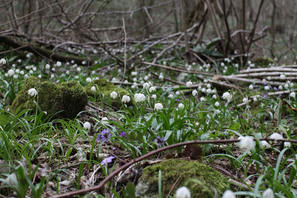 Природа Италии. Nature Italy