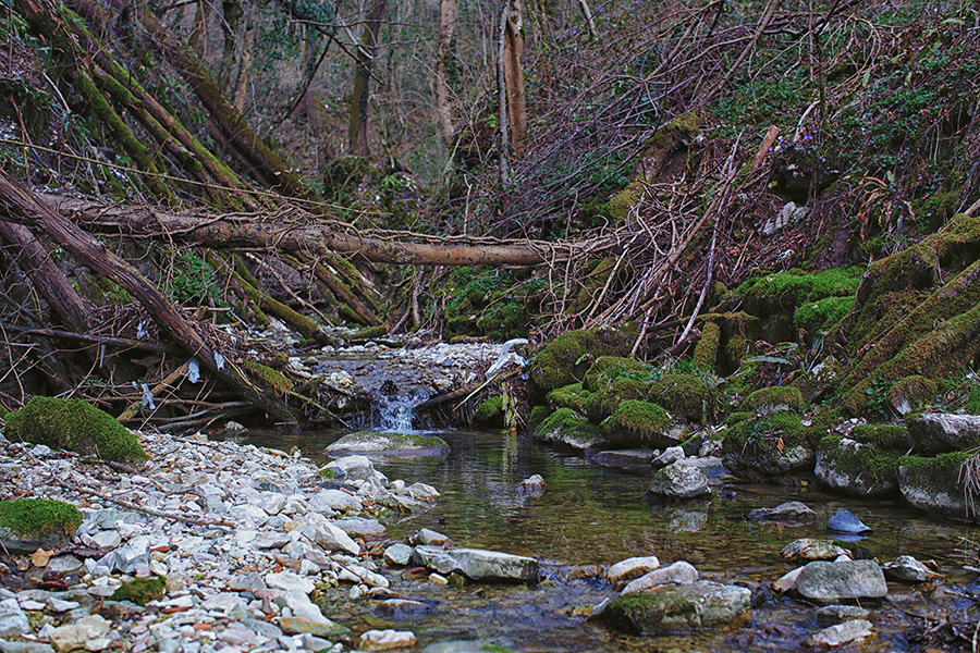 Природа Италии. Nature Italy