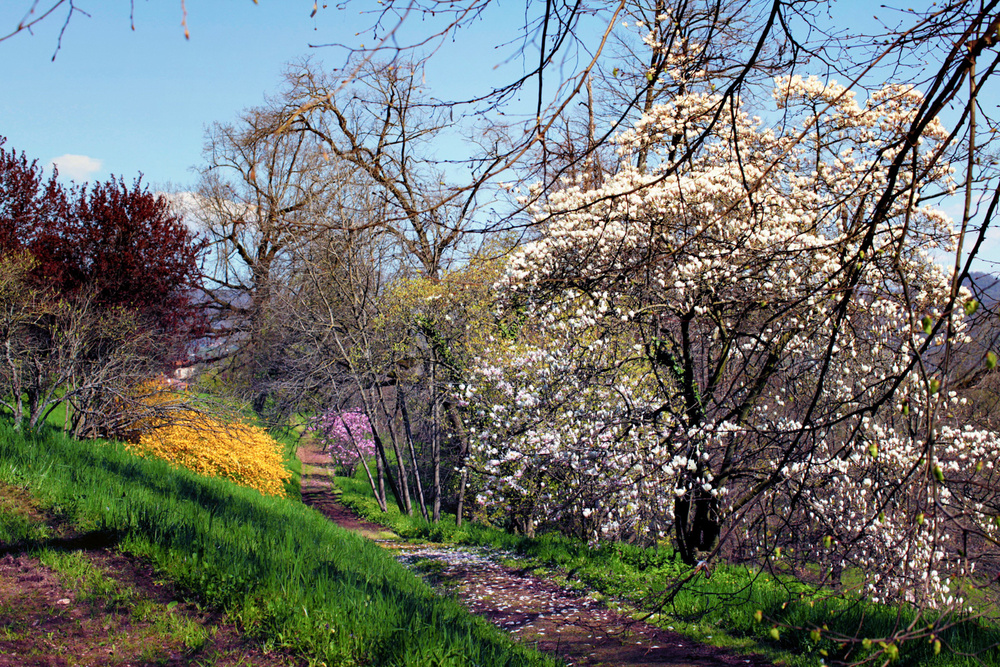 Природа Италии. Nature Italy