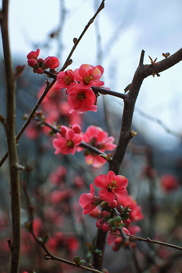 Природа Италии. Nature Italy