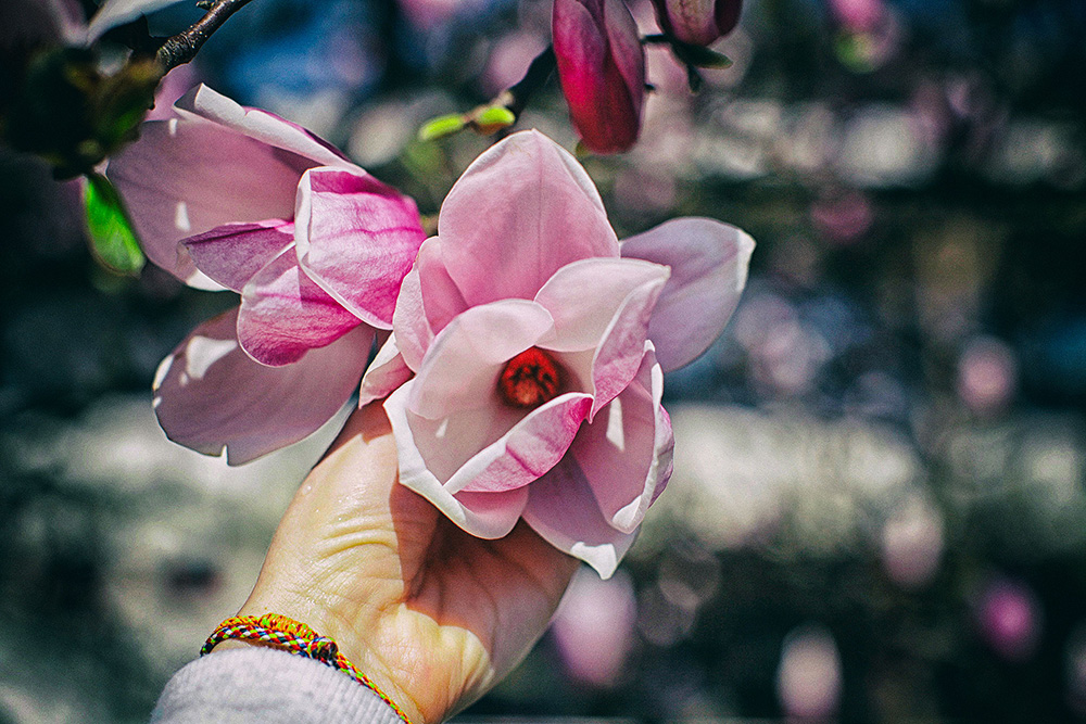 Природа Италии. Nature Italy